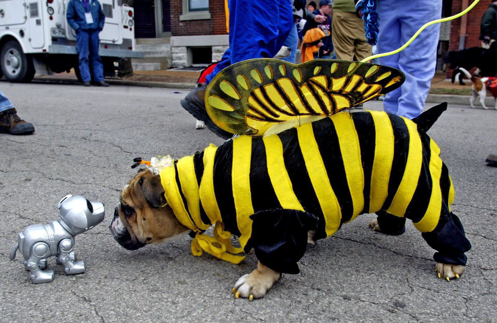 2006: Soulard Mardi Gras Celebrates 40 Years of Fun